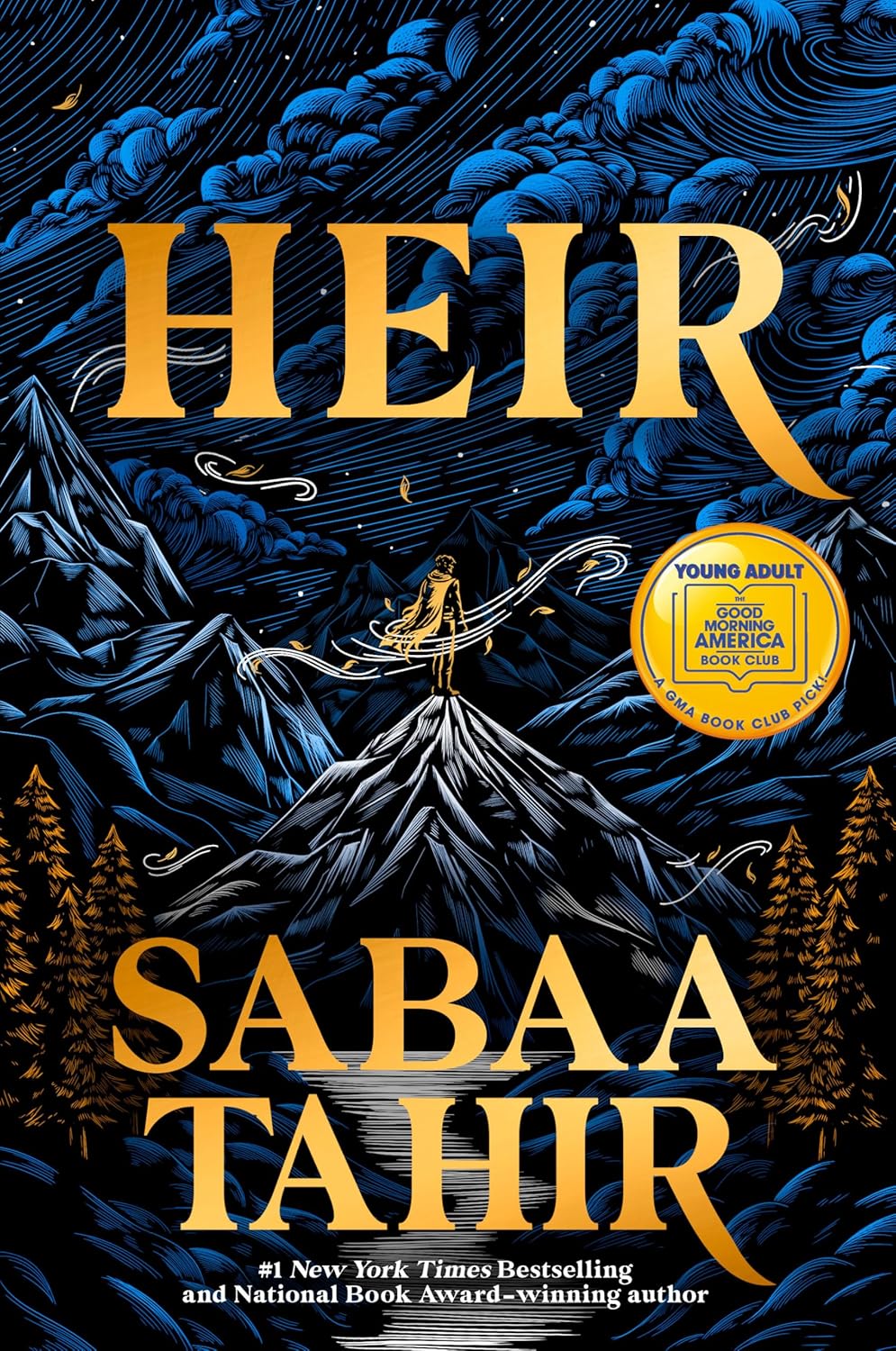 Cover of Heir. Young person standing on a small hill, facing larger mountains and a sky full of clouds. The person seems very small in comparison.