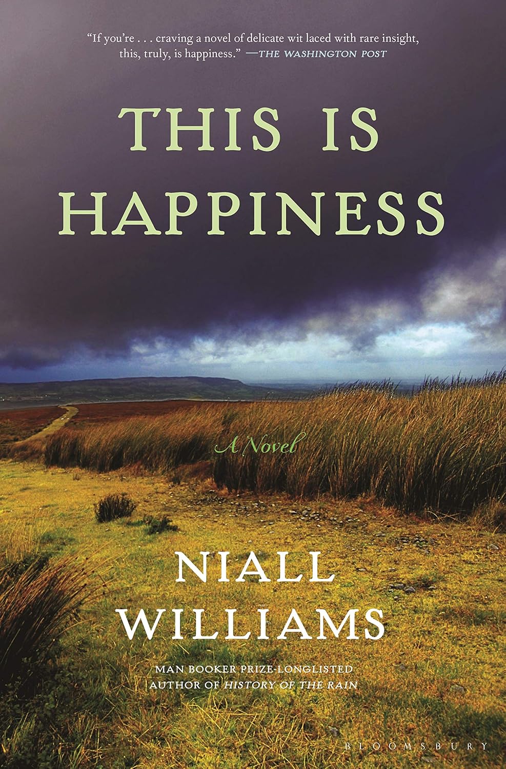 Cover of This Is Happiness. Photo of a stormy sky over a plain. There are low hills in the background, waving grasses in the foreground, and a clearing closest to the viewer on the cover. The sky looks like it is clearing in the distance.